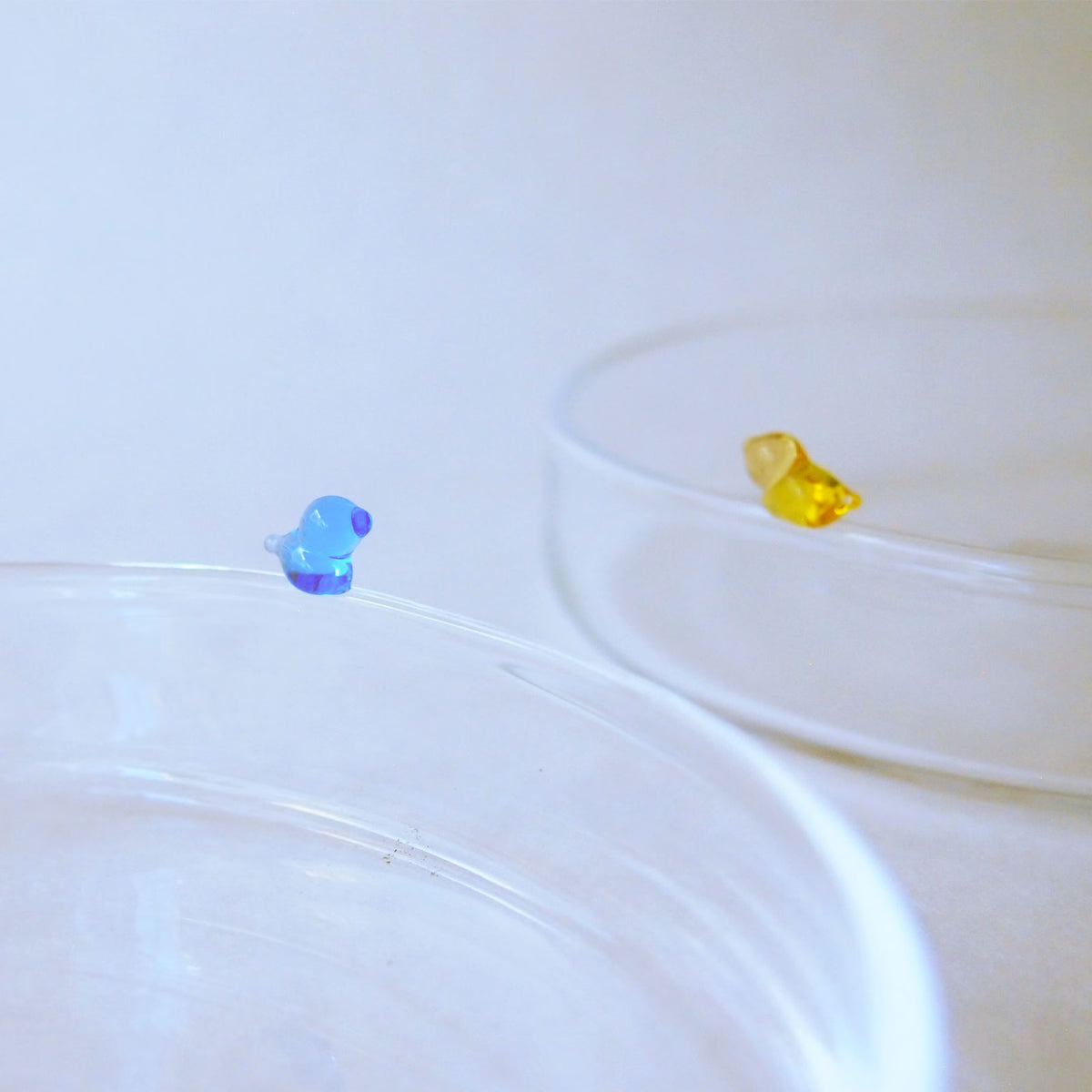 [NEW] CHIISANA TORI - Tray, Amber