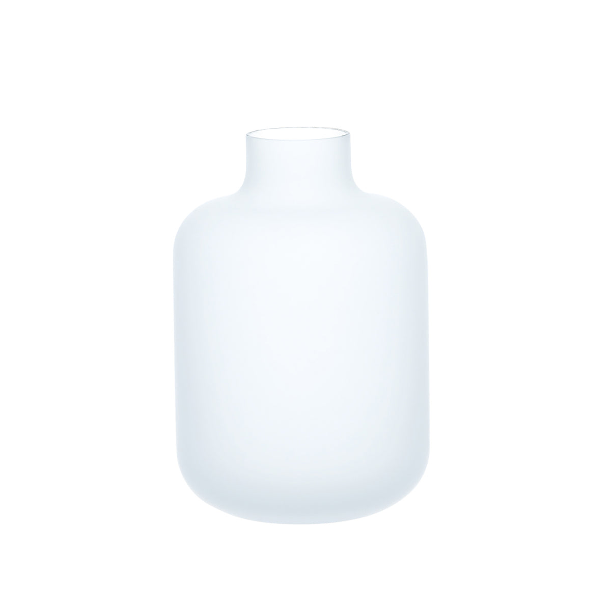 BLACK & WHITE - Sake Bottle Frosted Clear, 10.1oz